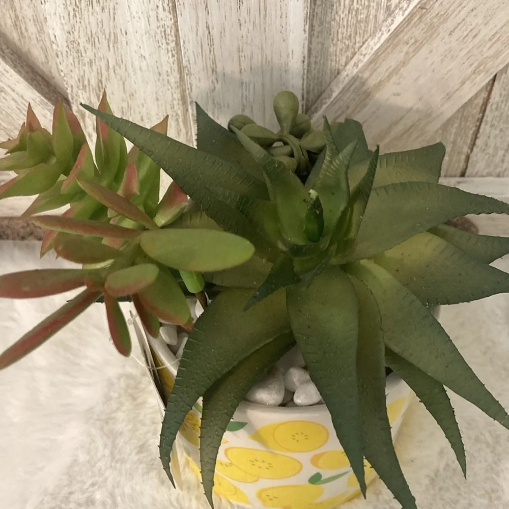 Ceramic Lemon Planter with Faux Succulents